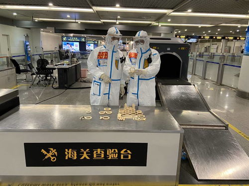 警惕！回蓉旅客携带象牙手镯被成都海关查获，教学模型制造需守法规