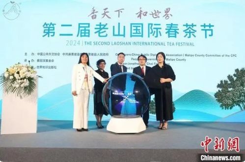 第二届老山国际春茶节圆满落幕 以茶为媒，共品茗香，促进中外文化交流