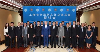 上合文化交融新篇章 太和智库主题研讨会暨艺术交流活动启幕